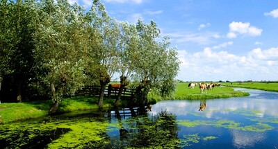 groene-hart01 groene-hart01