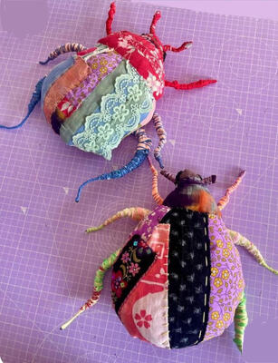 insect