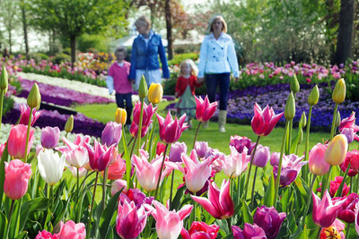 keukenhof-12 keukenhof-12